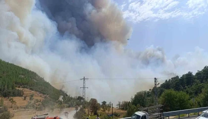 Mersindeki orman yangınında evler tedbiren boşaltılıyor