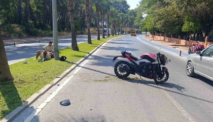 Motosiklet palmiye ağacına çarptı, sürücü yaralandı