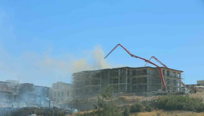 Orman Bölge Müdürlüğü alanındaki yangınlar söndürüldü