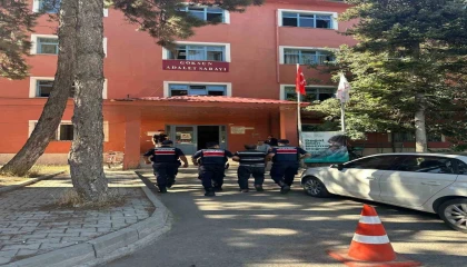 Orman yangınına neden olan şahıs yakalanıp tutuklandı