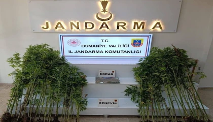 Osmaniyede bir haftada 121 şüpheli yakalandı