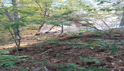 Osmaniyede çıkan orman yangını büyümeden kontrol altına alındı