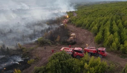 Osmaniyede çıkan orman yangını söndürüldü