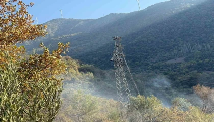 Osmaniyede orman yangını