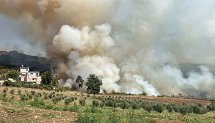 Osmaniyede ormanlık alanda yangın çıktı