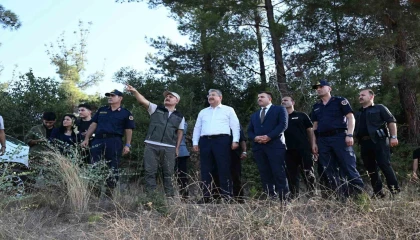 Osmaniyedeki orman yangını kontrol altına alındı