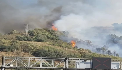 Osmaniyenin Bahçe ilçesinde ormanlık alanda yangın çıktı
