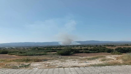 Osmaniyenin Sumbas ilçesinde orman yangını başladı