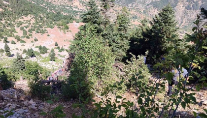 Otomobil uçuruma yuvarlandı: 2 ölü