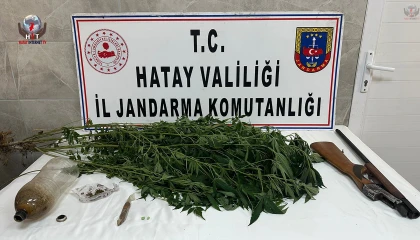 Payas’ta evinin bahçesinde hint keneviri yetiştiren şahıs yakayı ele verdi