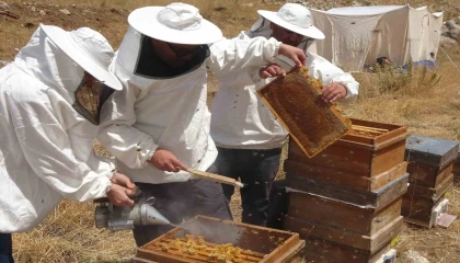 Petekler balla doldu: Sıfır rakımda başlayan sezon 2 bin rakımda Eğriçayırda sona erdi