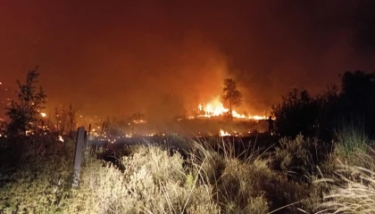 Serikte tarım arazisinden ormana sıçrayan yangın 5 saatte söndürüldü