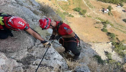 Serikte uçurumda 3 gündür mahsur kalan keçi, ekipler tarafından kurtarıldı