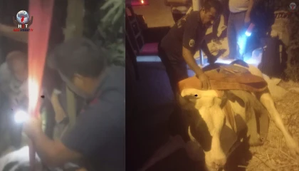 Sulama kanalına düşen ineği itfaiye ekipleri kurtardı