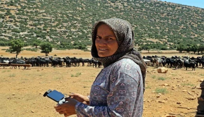 Sürüsüne dadanan kurtlar, çoban kadını dron pilotu yaptı