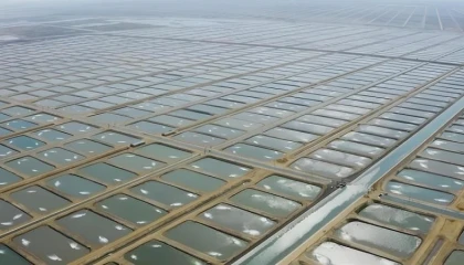 Tarıma Dayalı İhtisas Su Ürünleri Organize Sanayi Bölgesinde ön talep süreci başladı