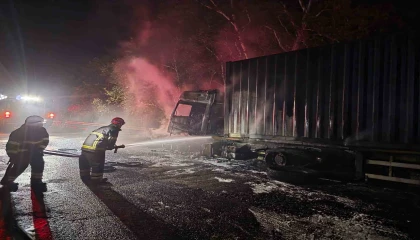 Tırdan ormanlık alana sıçrayan yangın söndürüldü