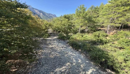 Üzümdere Irmağı kuraklığa yenik düştü, eski halinden eser kalmadı