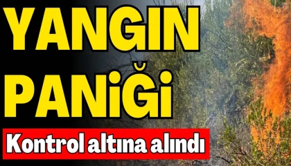 Yayladağında çıkan orman yangını kontrol altına alındı