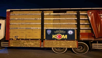 Adanada 14 milyon 340 bin kaçak makaron ele geçirildi: Piyasa değeri 9 milyondan fazla