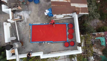 Adanada damlar kırmızıyla renklendi: Güneşle pişen emek