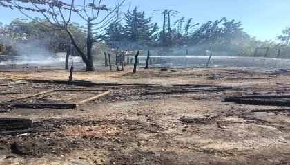 Adanada tarım işçilerinin kaldığı 4 çadır yandı