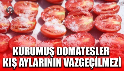 Afetzede kadınların kuruttuğu domatesler, kış aylarında sofraları süslüyor