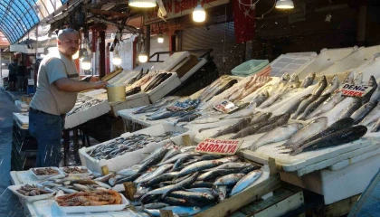 Akdenizde av yasağı bitti, tezgahlarda bolluk başladı