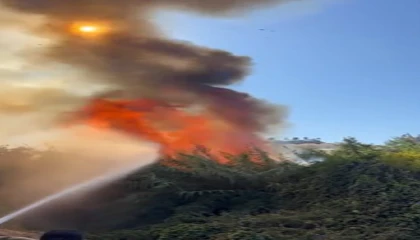 Alanyada çalılık alanda çıkan yangında 2 sera ve 2 dönüm arazi zarar gördü