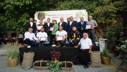 Alanyada keçiboynuzu hasat şenliği ve coğrafi tescil belge töreni