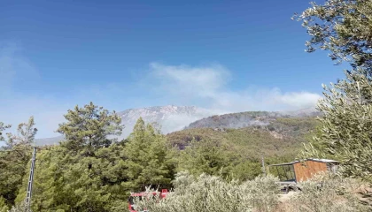 Alanyada ormanlık alan yangınları kontrol altına alınmaya çalışılıyor