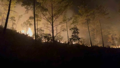 Alanyada ormanlık alandaki yangın