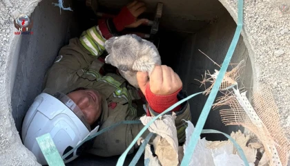 Antakyada 5 metrelik kuyuya düşen yavru köpek kurtarıldı