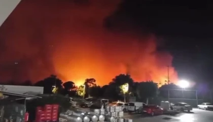 Antalya Aksuda ormanlık alanda yangın