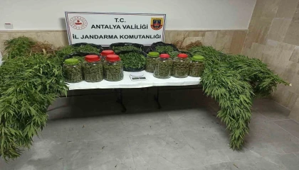 Antalyada 43 kilo uyuşturucu madde ele geçirildi