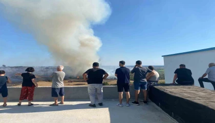 Antalyada makilik alanda çıkan yangın zeytin ağaçlarına zarar verdi