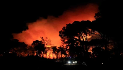 Antalyada otellere yakın ormanlık alanda çıkan yangın kontrol altına alındı