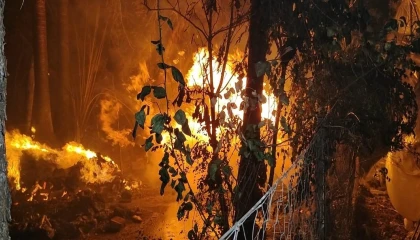 Antalyada yerleşim alanına yakın sazlık alanda yangın paniği