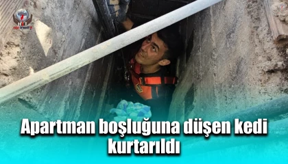 Apartman boşluğuna düşen kedi zorlu operasyonla kurtarıldı