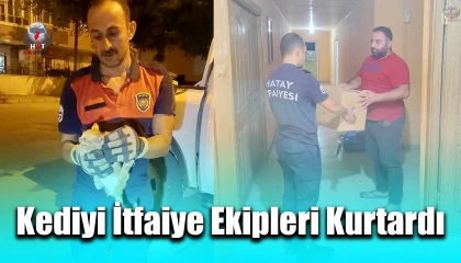 Aracın motor kısmına giren yavru kediyi itfaiye ekipleri kurtardı