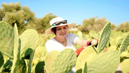 Bahçeyi kurarken alay konusu oldular, şimdi 10 ton ürünün tamamını yurt dışına veriyorlar