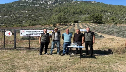 Bakımını yapan kullanım hakkını elde edecek