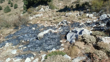 Burdurda çalılık alanda yangın