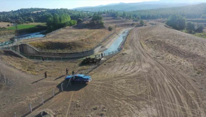 Burdurda kaybolan keçileri jandarma buldu