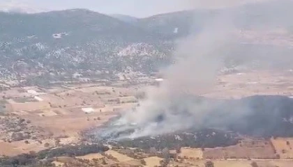 Burdurda tarlada çıkan yangın ormanlık alana sıçradı