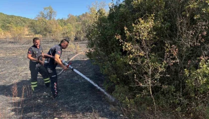 Burdurdaki orman yangını söndürüldü