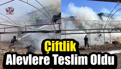 Çiftlikte çıkan yangında saman balyaları alevlere teslim oldu