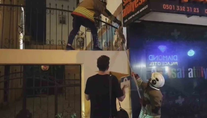 Demir korkulukta mahsur kalan kediyi itfaiye kurtardı