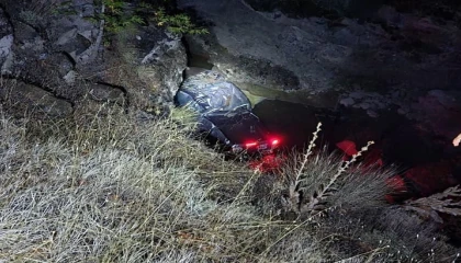 Dereye düşen kamyonetin sürücüsü yaralandı