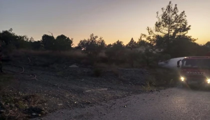 Dörtyolda orman yangını büyümeden söndürüldü
